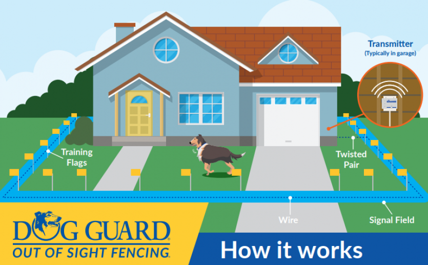 Raleigh Dog Fencing Dog Guard Of North Carolina