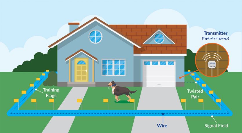 Electric dog fence companies near me top